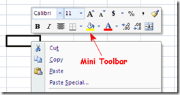 Mini Toolbar