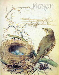 03March2-34.jpg