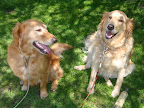 DSC05018.JPG