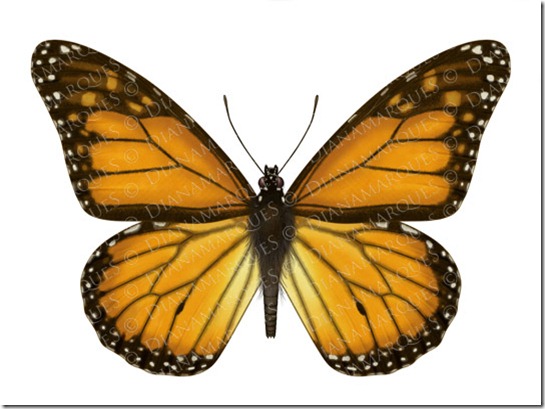 Michael jackson Subliminar 2