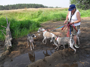 SDC11299.JPG