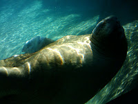 2009-08-22 13.09.00.jpg