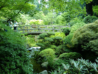 2009-08-28 10.55.15.jpg