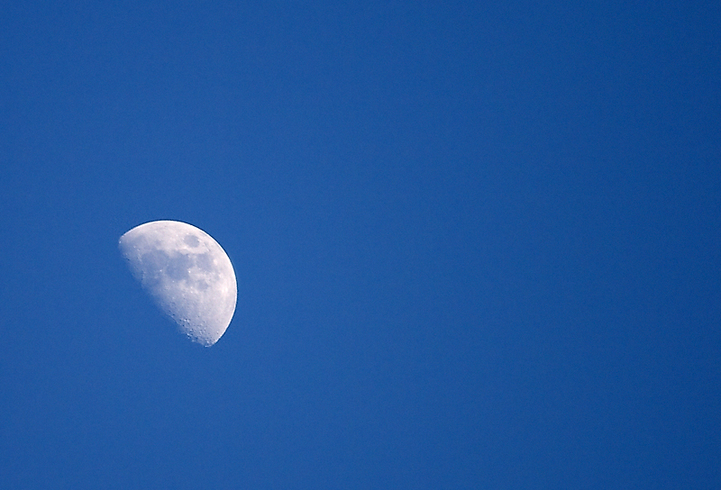 Canon 400D/Canon 70/300 IS USM @ 300mm | 1/800s | f/5.6 | ISO 400