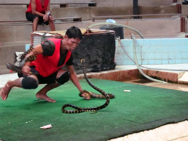 Cuidado Snakeman, que muerde!
