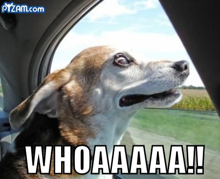 [whoaaaaaaa[5].jpg]
