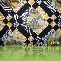 IMG_2220 IMG_2220