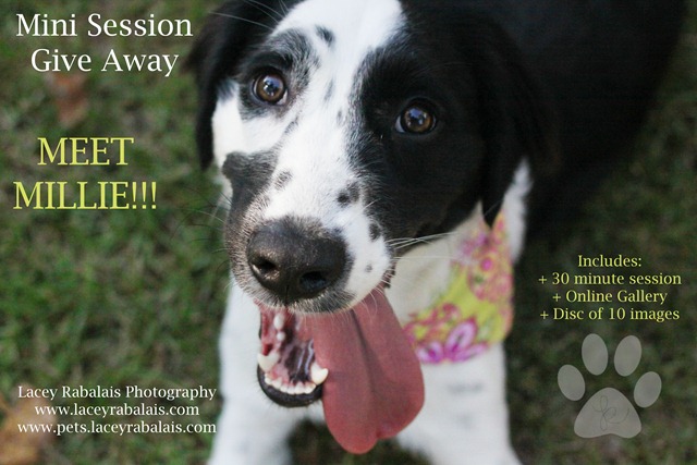 [SessionGiveAway[4].jpg]