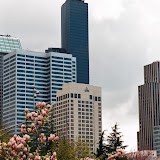 54_850399020018.JPG