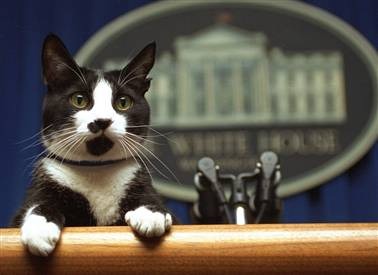 [090220-socks-hmed-258p_h2[3].jpg]