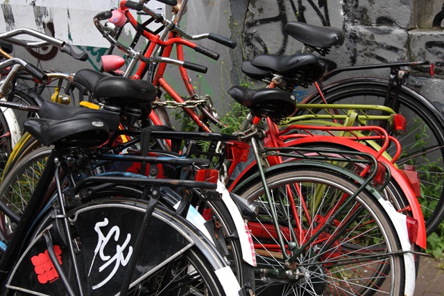 [bikes[4].jpg]