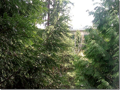 viewfrommywindow