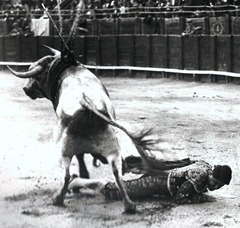 Luis Freg Cogida tras buena estocada. Toledo 1921 (Baldomero) 002