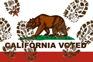 [california_vote_stomped[4].jpg]