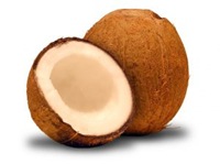 surface-vs-cryptic-coconut