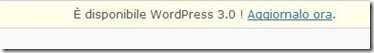 wordpress3.0