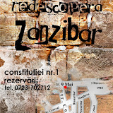 zanzi flyer.jpg