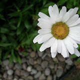 The Outdoors - Canon SD950IS