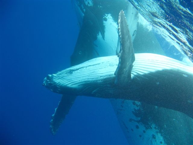 [IMG_36838.jpg]