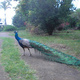 CIMG0274.JPG