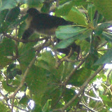 CIMG0901.JPG
