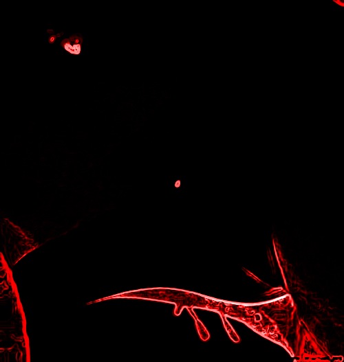 que tajitos elegi uno para vos