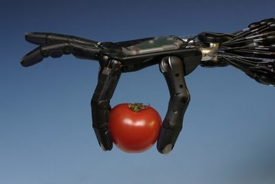 [iron hand n tomato[6].jpg]