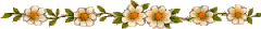 flowerbar flowerbar
