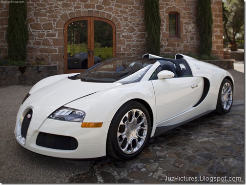 Bugatti-Veyron_Grand_Sport_9