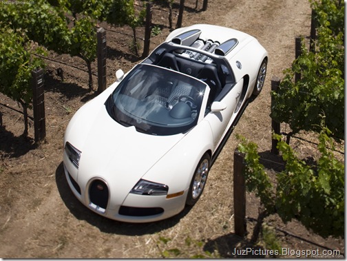 Bugatti-Veyron_Grand_Sport_5