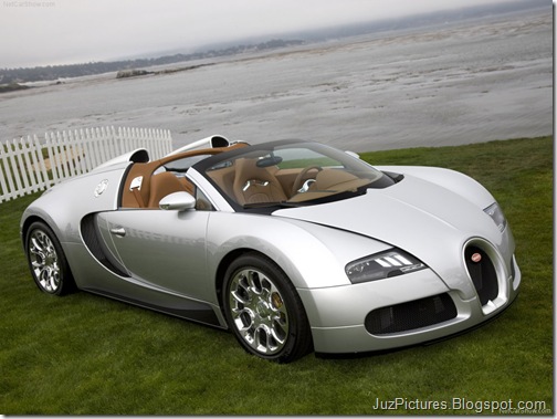 Bugatti-Veyron_Grand_Sport_6