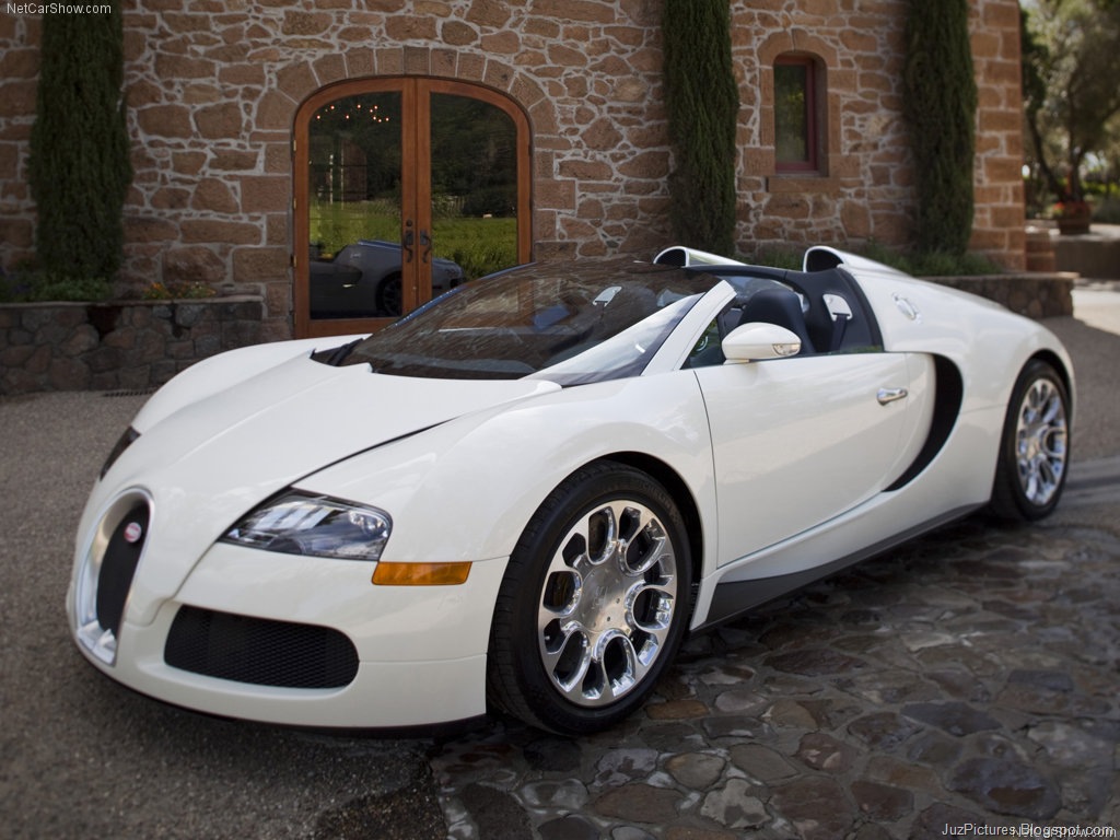 [BugattiVeyron_Grand_Sport_93.jpg]