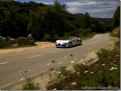 Bugatti-Veyron_Grand_Sport_12