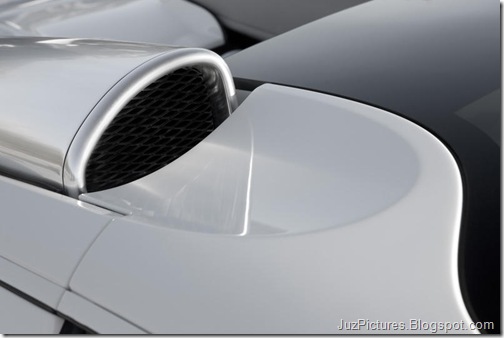 Bugatti-Veyron_Grand_Sport_27
