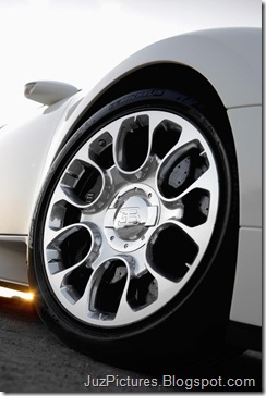 Bugatti-Veyron_Grand_Sport_34