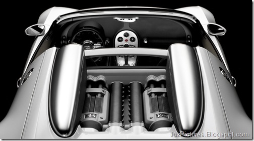 Bugatti-Veyron_Grand_Sport_36