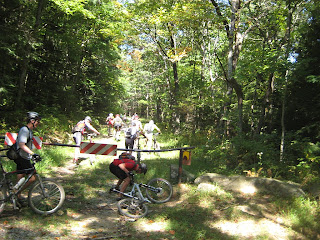 to the firetower!