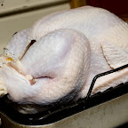 Turkey in the roaster