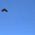A Raven and the Moon