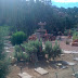 Fountain at Angels' Rest