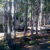 Our spot at Canyon Village in Yellowstone Park