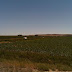 Mysterious boxes in a field