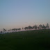 Treeline