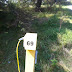 #69 in Lakeside Loop of Darlington Provincial Park