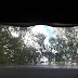 The view out of the sunroof at Killarney Park