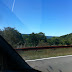 Scenery on the Drive - Highland Scenic Highway