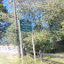 Hillsboro, Birthplace on Pearl S. Buck (Not to be confused with Minnie Pearl)