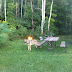 Time for rest at Bronte Creek Provincial Park