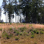 Looking back at the View from our walk