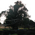 IMG_1622.JPG, 2007 - Nepal